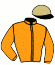 casaque portée par Feron J. Ch. jockey du cheval de course JOY FOR EVER, information pmu ZETURF casaque portée par Feron J. Ch. jockey du cheval de course JOY FOR EVER, information pmu ZETURF