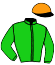 casaque portée par Orani Ant. jockey du cheval de course SELKET, information pmu ZETURF casaque portée par Orani Ant. jockey du cheval de course SELKET, information pmu ZETURF