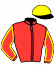 casaque portée par Briand Y. A. jockey du cheval de course JISCARD, information pmu ZETURF casaque portée par Briand Y. A. jockey du cheval de course JISCARD, information pmu ZETURF