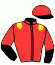 casaque portée par Feron J. Ch. jockey du cheval de course HONORE LE FOL, information pmu ZETURF casaque portée par Feron J. Ch. jockey du cheval de course HONORE LE FOL, information pmu ZETURF