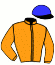 casaque portée par Devienne K. jockey du cheval de course GORDON FLASH, information pmu ZETURF casaque portée par Devienne K. jockey du cheval de course GORDON FLASH, information pmu ZETURF