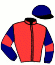 casaque portée par Cieslik Mlle E. jockey du cheval de course HERMES DE L'AUTROT (FR), information pmu ZETURF