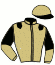 casaque portée par Orani A. jockey du cheval de course JOAN JET (FR), information pmu ZETURF