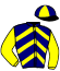 casaque portée par Sorel J. Ch. jockey du cheval de course HISTOIRE DELO (FR), information pmu ZETURF