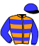 casaque portée par Besnier H. jockey du cheval de course JOLIENENE (FR), information pmu ZETURF