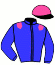 casaque portée par Champier G. jockey du cheval de course GREEN LANTERN, information pmu ZETURF
