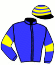 casaque portée par Blondel F. jockey du cheval de course GLANEUR (IE), information pmu ZETURF