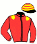casaque portée par Soumillon C. jockey du cheval de course AUCTAVIA FIRST, information pmu ZETURF