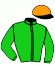 casaque portée par Legras G. jockey du cheval de course SAUZON, information pmu ZETURF