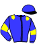 casaque portée par Thonnerieux K. jockey du cheval de course IRIS DE MAZLAB, information pmu ZETURF