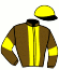 casaque portée par Heymans Mlle M. jockey du cheval de course FALCO DA VINCI, information pmu ZETURF