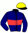 casaque portée par Orani Ant. jockey du cheval de course AMERICANO, information pmu ZETURF