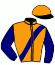 casaque portée par Feron J. Ch. jockey du cheval de course GIRL VENESI, information pmu ZETURF
