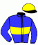 casaque portée par Bekaert D. jockey du cheval de course HERO DE CEREY, information pmu ZETURF
