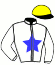 casaque portée par Feron J. Ch. jockey du cheval de course JAVA DES LINANS, information pmu ZETURF casaque portée par Feron J. Ch. jockey du cheval de course JAVA DES LINANS, information pmu ZETURF