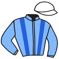 casaque portée par Ruis S. jockey du cheval de course DOLCESHAL, information pmu ZETURF