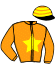 casaque portée par Ruis S. jockey du cheval de course WONDER WOOD, information pmu ZETURF