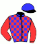 casaque portée par Sorel J. Ch. jockey du cheval de course INCROYABLE STAR, information pmu ZETURF casaque portée par Sorel J. Ch. jockey du cheval de course INCROYABLE STAR, information pmu ZETURF
