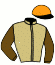 casaque portée par Devienne K. jockey du cheval de course GAUDI TIT, information pmu ZETURF casaque portée par Devienne K. jockey du cheval de course GAUDI TIT, information pmu ZETURF