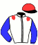 casaque portée par Sorel J. Ch. jockey du cheval de course HATOUT DE CONNEE, information pmu ZETURF casaque portée par Sorel J. Ch. jockey du cheval de course HATOUT DE CONNEE, information pmu ZETURF