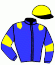 casaque portée par D'esparbes Mme M. jockey du cheval de course FANGIO GRIFF, information pmu ZETURF casaque portée par D'esparbes Mme M. jockey du cheval de course FANGIO GRIFF, information pmu ZETURF