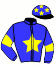 casaque portée par Cortial Mlle S. jockey du cheval de course HOLY ROMAN EMPEROR, information pmu ZETURF casaque portée par Cortial Mlle S. jockey du cheval de course HOLY ROMAN EMPEROR, information pmu ZETURF