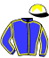 casaque portée par Congiu G. jockey du cheval de course CALBIGNY, information pmu ZETURF casaque portée par Congiu G. jockey du cheval de course CALBIGNY, information pmu ZETURF