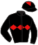 casaque portée par Bachelot T. jockey du cheval de course HAARICIA, information pmu ZETURF casaque portée par Bachelot T. jockey du cheval de course HAARICIA, information pmu ZETURF
