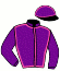 casaque portée par Villesalmon R. jockey du cheval de course DOSSIMO (FR), information pmu ZETURF