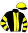 casaque portée par Balu J. jockey du cheval de course FALKO WIND (FR), information pmu ZETURF