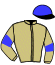 casaque portée par Chalon Ch. jockey du cheval de course HUBERUS, information pmu ZETURF