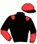 casaque portée par Demas R. jockey du cheval de course KRYSTA DE KERYANN, information pmu ZETURF