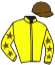 casaque portée par Thomas A. jockey du cheval de course KATRINA DE MARZY, information pmu ZETURF