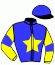 casaque portée par Saussaye V. jockey du cheval de course JUPITER CAPTAIN, information pmu ZETURF