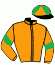casaque portée par De Meyer Mme M. jockey du cheval de course IBISCUS DAMBRAY, information pmu ZETURF casaque portée par De Meyer Mme M. jockey du cheval de course IBISCUS DAMBRAY, information pmu ZETURF