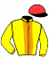 casaque portée par Ernault S. jockey du cheval de course JURILOVCA, information pmu ZETURF casaque portée par Ernault S. jockey du cheval de course JURILOVCA, information pmu ZETURF