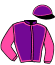 casaque portée par Donio G. jockey du cheval de course HAVANE D'OMBLAIS (FR), information pmu ZETURF