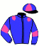 casaque portée par Davoust D. jockey du cheval de course HOLD UP RANAIS (FR), information pmu ZETURF