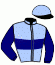 casaque portée par Ploquin P. Ph. jockey du cheval de course HAUTBRION COLMI, information pmu ZETURF