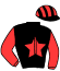 casaque portée par Sionneau H. jockey du cheval de course IDEAL DE BANNES, information pmu ZETURF
