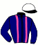 casaque portée par Duveau Max. jockey du cheval de course HARBOUR D'ORGERES, information pmu ZETURF