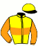 casaque portée par Balu J. jockey du cheval de course HURRICANE WAY, information pmu ZETURF