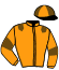 casaque portée par Ploquin Pau. Ph. jockey du cheval de course JOKER DU CHOQUEL, information pmu ZETURF casaque portée par Ploquin Pau. Ph. jockey du cheval de course JOKER DU CHOQUEL, information pmu ZETURF