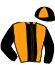 casaque portée par Rochard B. jockey du cheval de course KELLY CHALEONNAISE, information pmu ZETURF casaque portée par Rochard B. jockey du cheval de course KELLY CHALEONNAISE, information pmu ZETURF