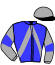 casaque portée par Jarry J. M. jockey du cheval de course HARPER DE BANVILLE, information pmu ZETURF casaque portée par Jarry J. M. jockey du cheval de course HARPER DE BANVILLE, information pmu ZETURF