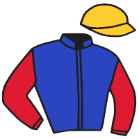casaque portée par Hocde J. L. jockey du cheval de course FIRE OF CARLESS, information pmu ZETURF casaque portée par Hocde J. L. jockey du cheval de course FIRE OF CARLESS, information pmu ZETURF