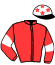 casaque portée par Badin G. B. jockey du cheval de course ENGOULVENT DU LYS, information pmu ZETURF casaque portée par Badin G. B. jockey du cheval de course ENGOULVENT DU LYS, information pmu ZETURF