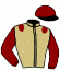 casaque portée par Armand L. jockey du cheval de course GOLDEN TEA (FR), information pmu ZETURF