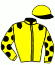 casaque portée par Raimbault C. jockey du cheval de course CHELSEE (FR), information pmu ZETURF