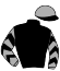 casaque portée par Le Pemp Mlle L. jockey du cheval de course TORPILLON DE VERDUN (FR), information pmu ZETURF
